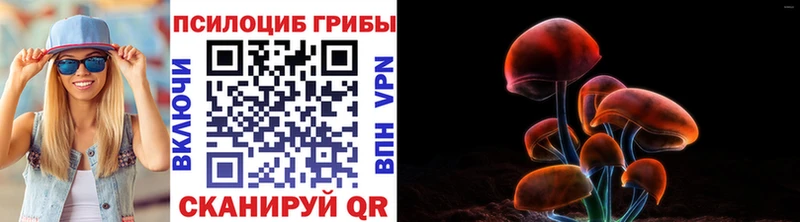 Галлюциногенные грибы прущие грибы  Купить  Приморск 